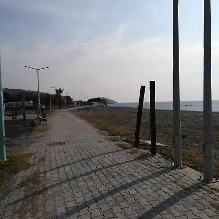 Ahsap Havuzlu Yazlik Ev