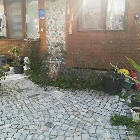Ahsap Havuzlu Yazlik Ev